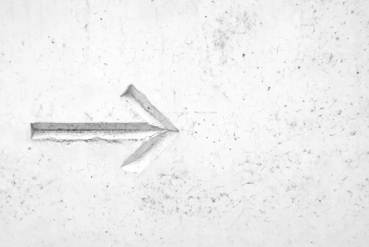 Comment se déroule exactement une transplantation?