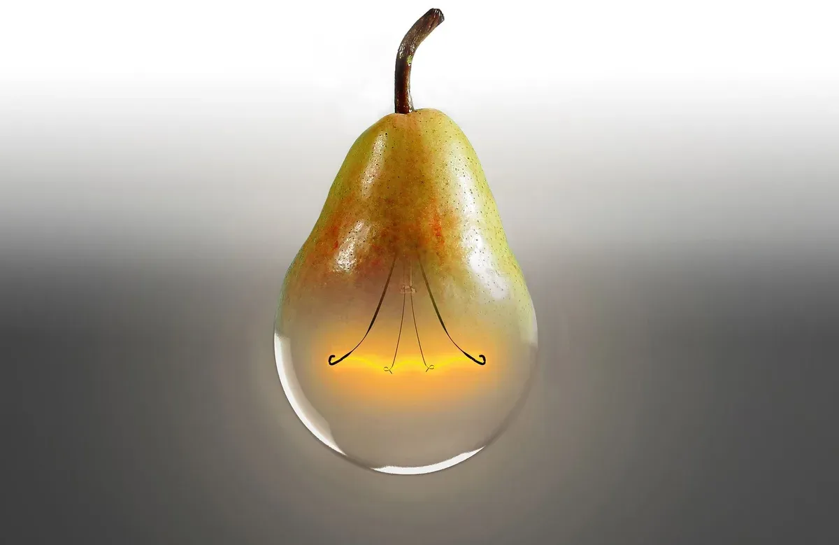 12 Ernährungstricks, um dein Phosphat in den Griff zu bekommen