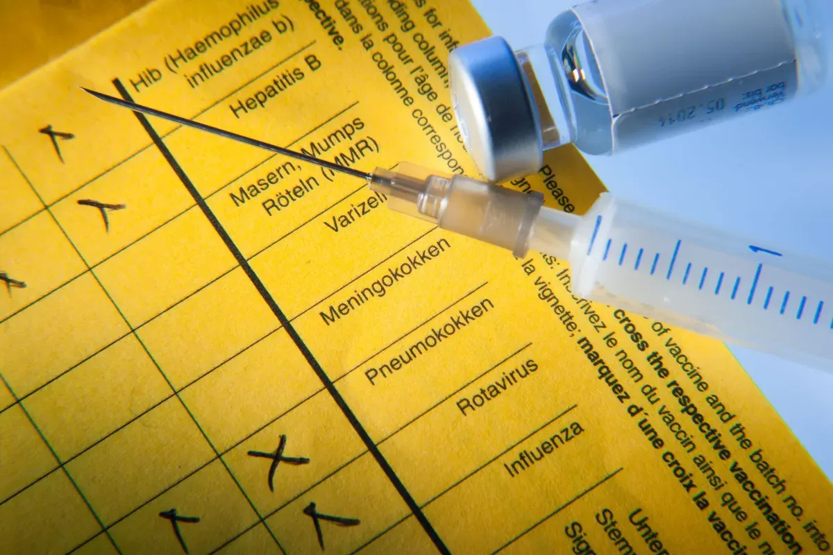 Vaccins & transplantation : un aperçu