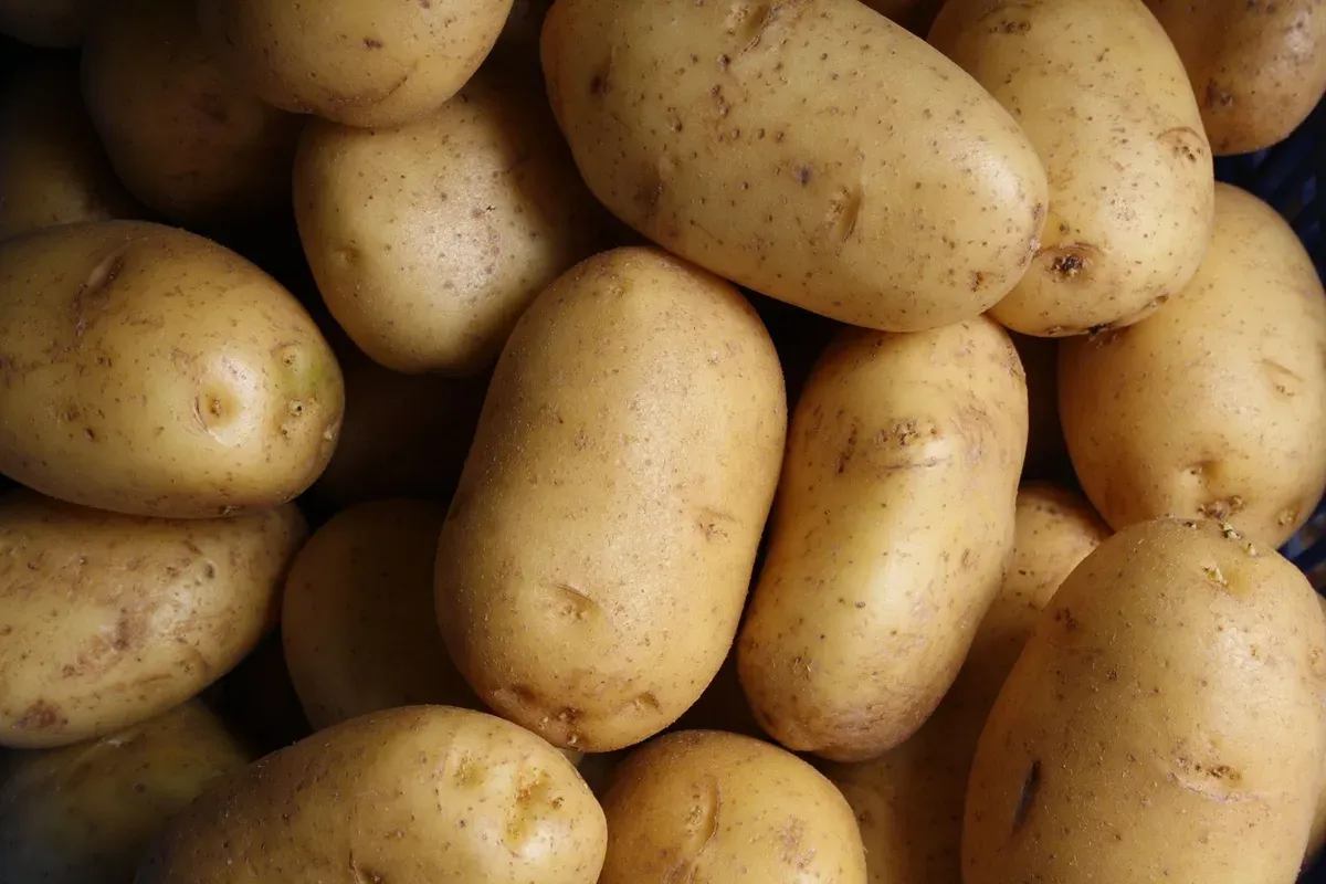 Potato myths - how do I get the potassium out of them?